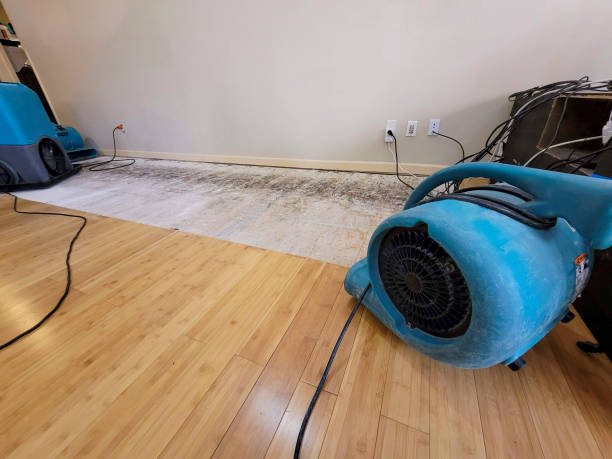 Professional Water Removal technician working in Kingston, RI